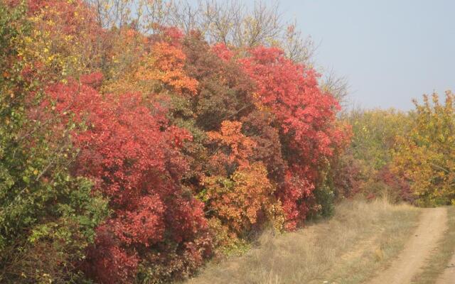 Стародонье