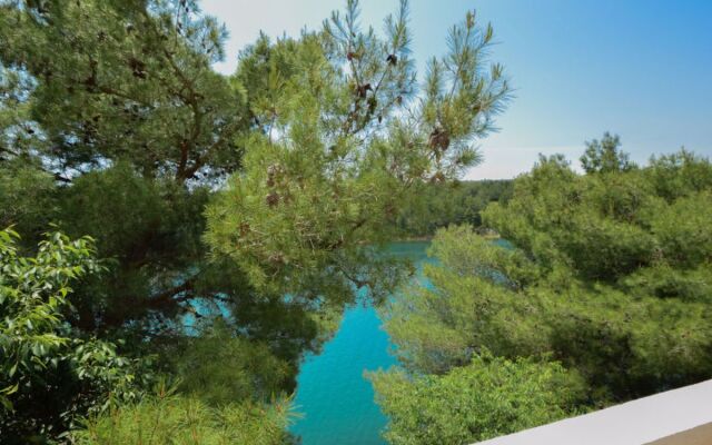 Apartment Mara Novigrad (Zadar) 20259