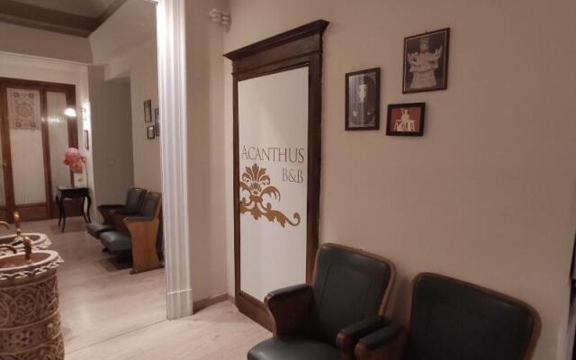 B&B Acanthus