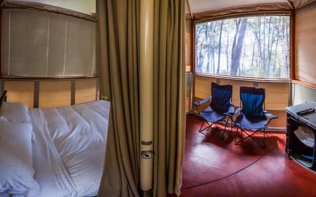 Southwest Wilderness Camp - Tasmania