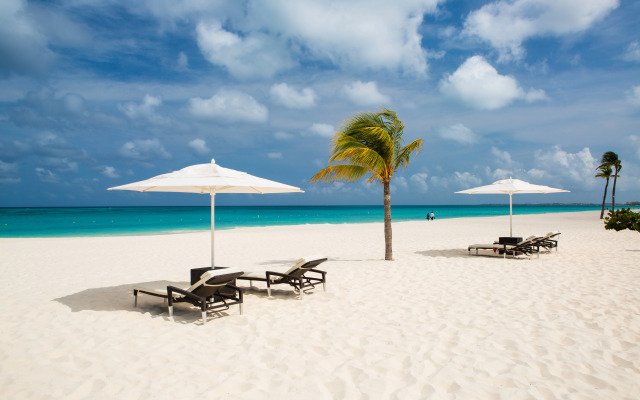 Bucuti & Tara Beach Resort - Adults Only