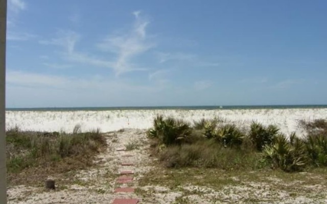 A Turtle View