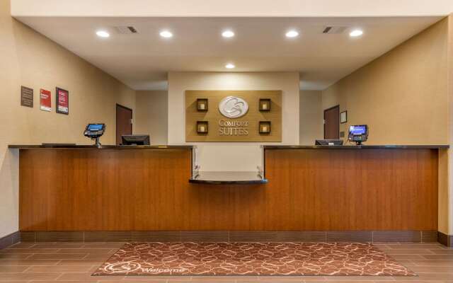 Comfort Suites San Antonio North - Stone Oak