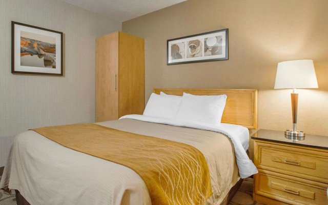 Comfort Inn Amherst