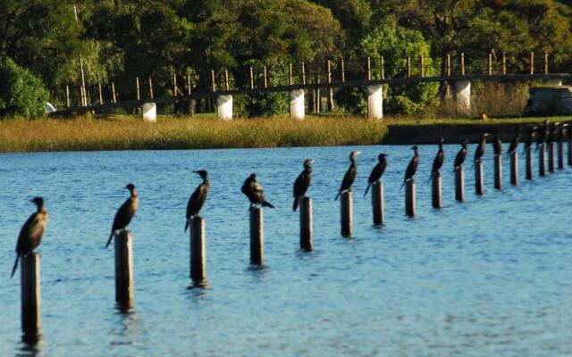 Apartamentos Laguna de Navarro