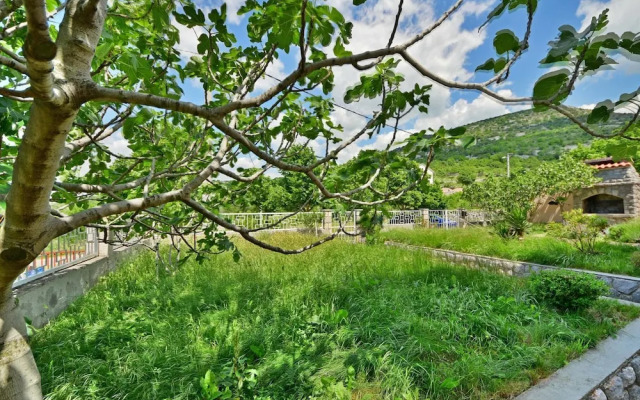 Adriana Sibinj Krmpotski