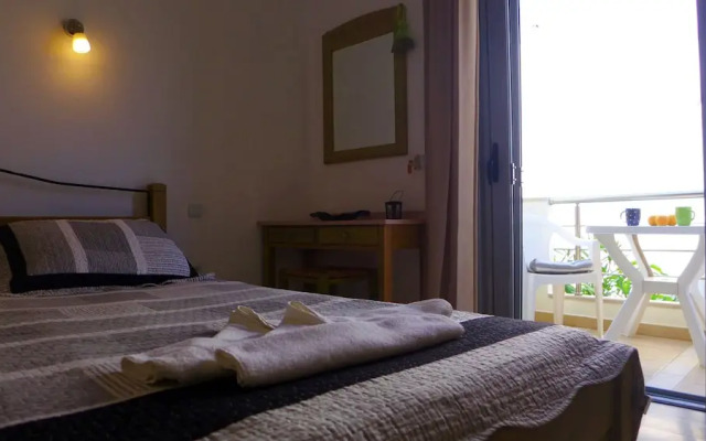 Lion-Suites