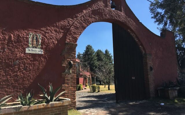 Rancho Guadalupe - In Mexico City (Tlalpan)