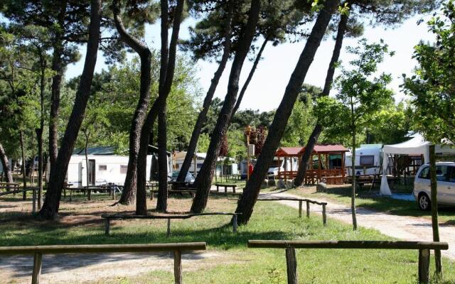 Romea Family Camping