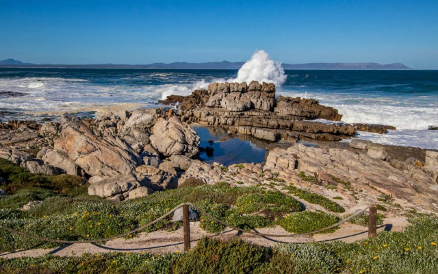 29@Whale Rock Estate