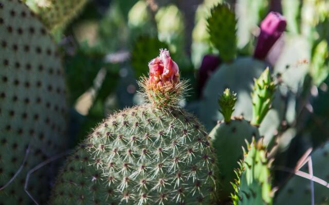 Valentina Guest House