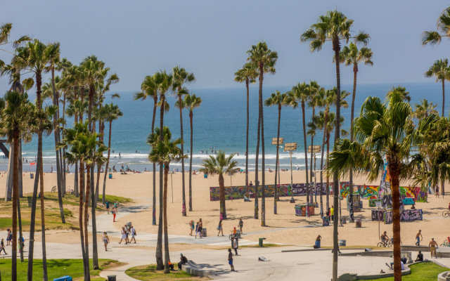 Venice Beach Suites  Hotel