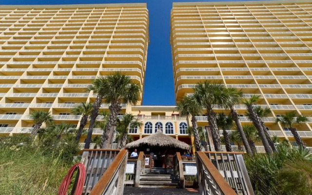 Calypso By BlueSwell