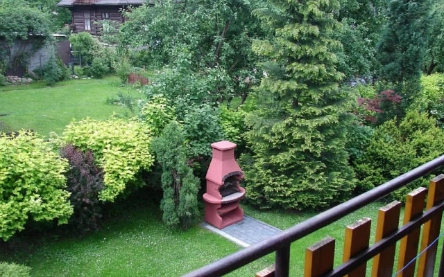Modrzew