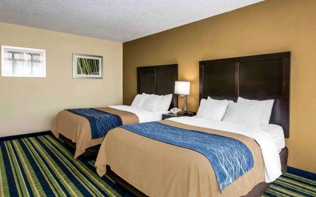 Comfort Inn & Suites Lantana - West Palm Beach South