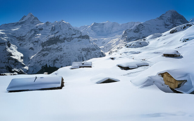 SnowKaya Grindelwald