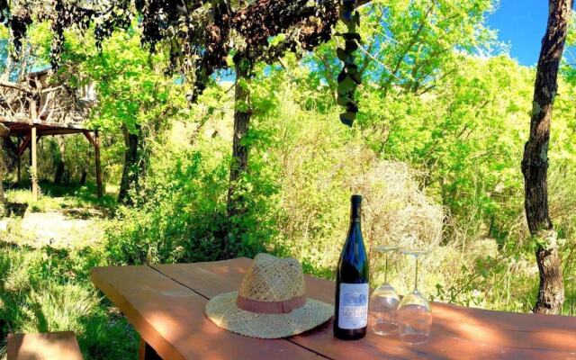 Wild Boar Mountain - France