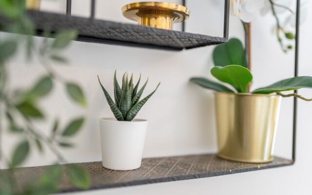 Phnix Central Luxury Accommodation