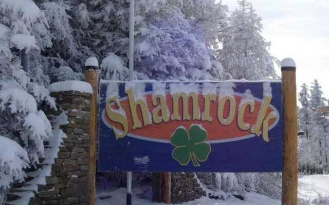 4 Br: Shamrock 28