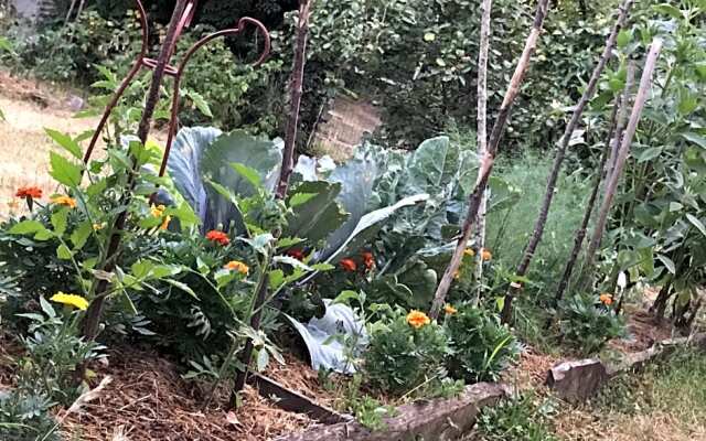 Chambre Privative Et Originale, a 20 Mn de Cluny