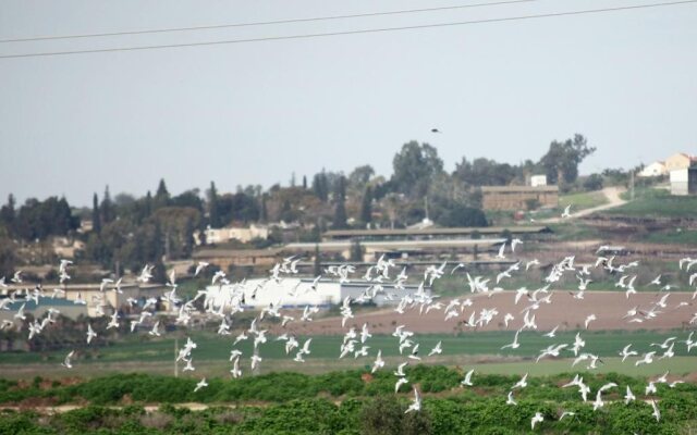 Gilboa Guest House - Benharim