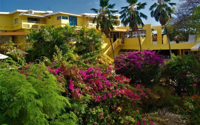 Tropical Beach Hotel