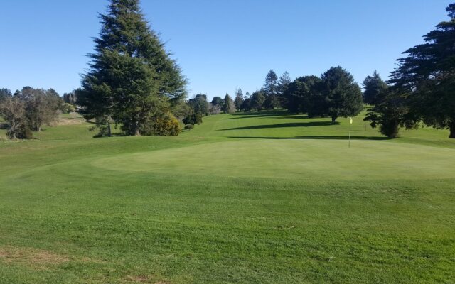 Waitomo Orchard Estate B&B