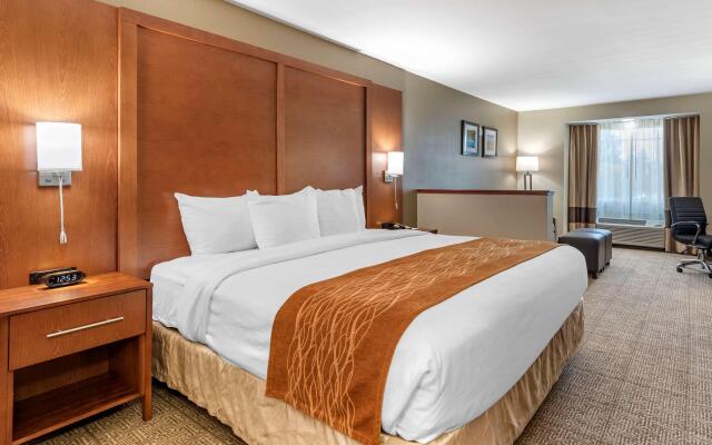 Comfort Inn Portland Hotel