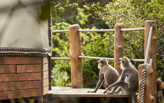 Wild Coast Tented Lodge - Relais and Chateaux
