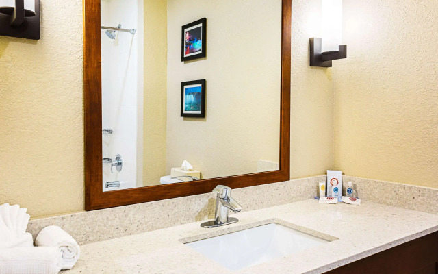 Comfort Inn & Suites Niagara Falls Blvd USA