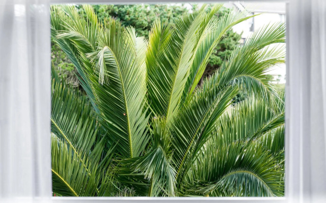 Brit Hotel de l'océan Concarneau