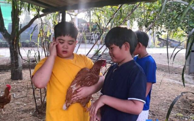 Tantai Eco Farm Stay at Khao Yai