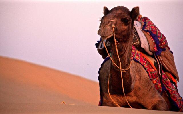 Damodra Desert Luxury Camp Tents