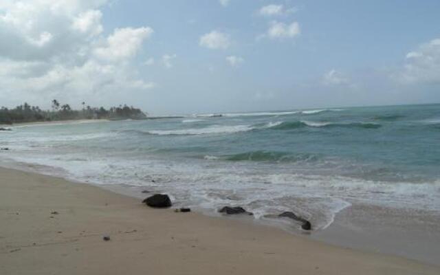 Dolce Vita Surf Rest Point