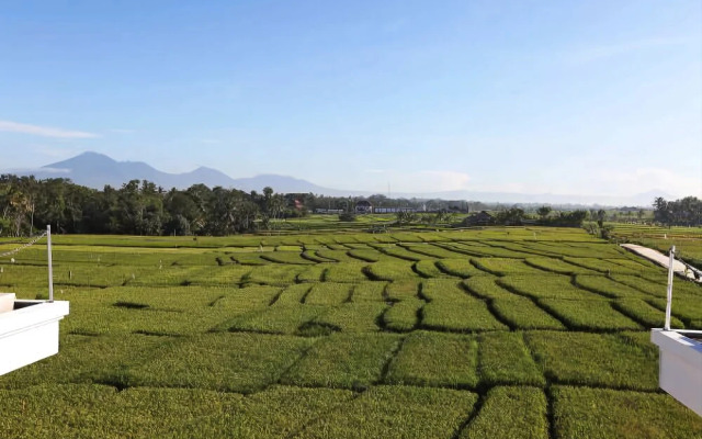 William's Place Bali