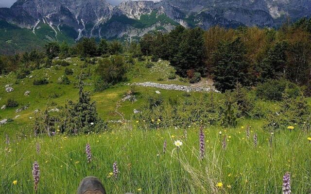 Hotel Restorant Alpet Theth