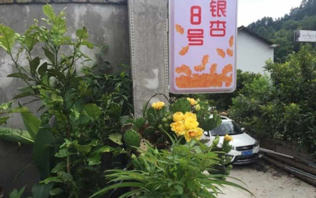 8 Gingko Inn