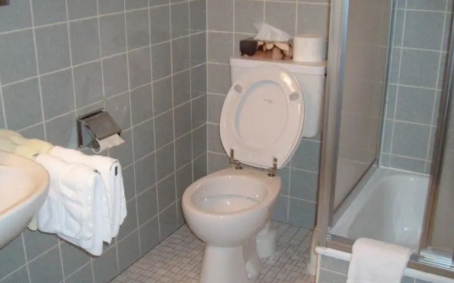 Schwarzwaldgasthof Grüner Baum