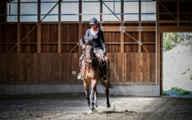 Chalet Appartement Zingerlehof Trens