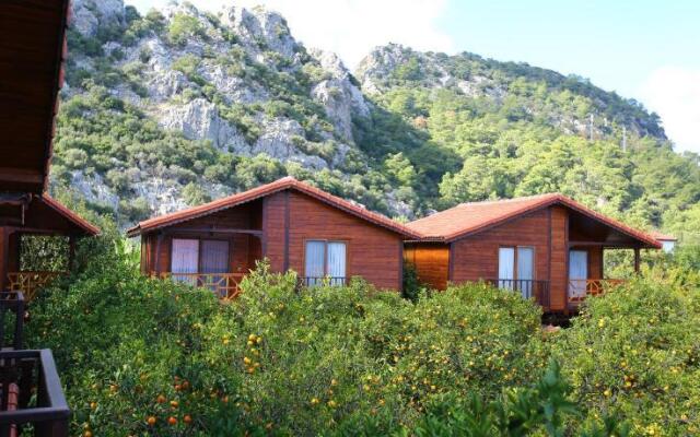Bahçe Villa