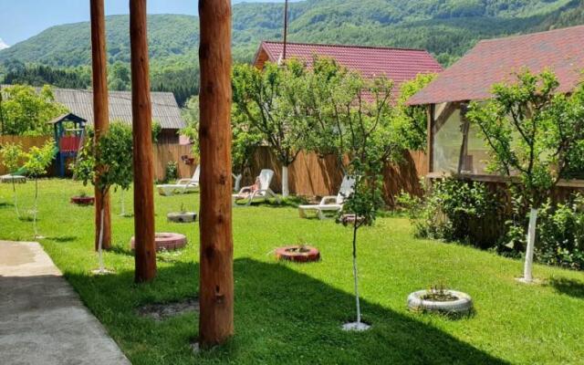 Casa de Vacanta Neagu