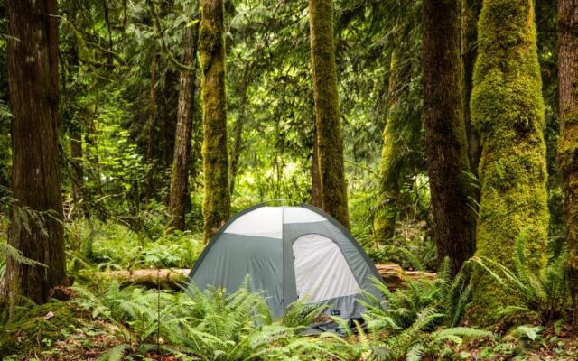 Mount Hood Village Premium Yurt 4