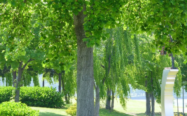 Kohan No Yado Kojima