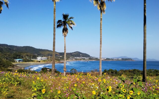 Guesthouse & Beach Cafe Fuego, Hostel