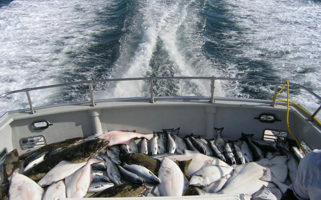 St. Theresa's Lakeside Resort