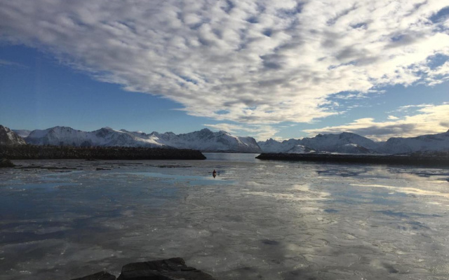 Villa Lofoten - The Saltery