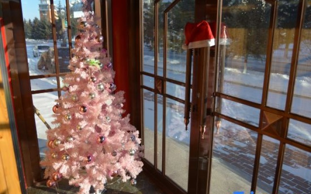 Junyue Holiday Hotel - Hotel in Haerpin - Photo 5