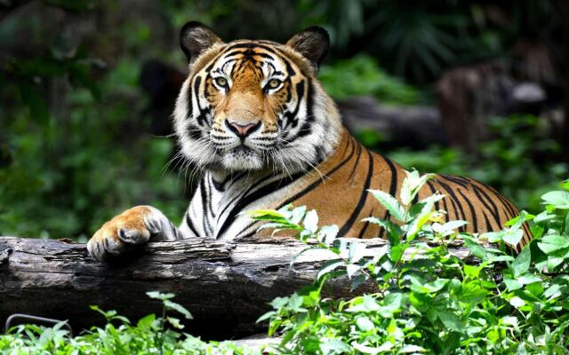 M-Star Hotel Wauseon