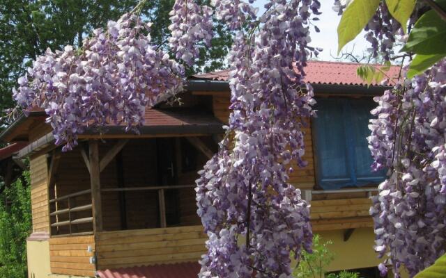 B&B Casa Mica Guesthouse