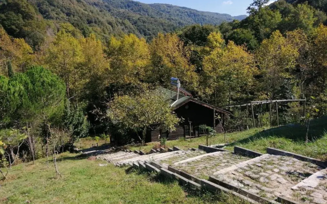 Sakli Cennet Esadiye